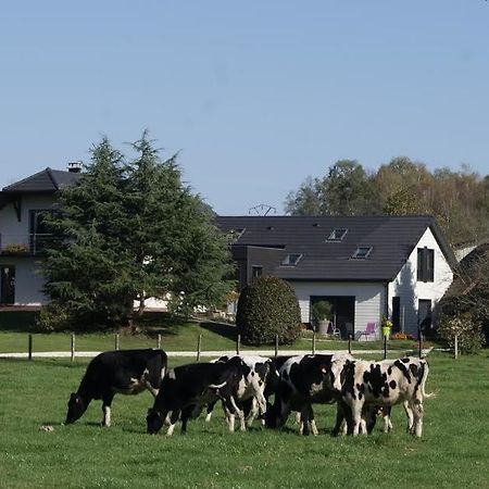 La Noue Aubain Bed & Breakfast Corbenay Exterior foto