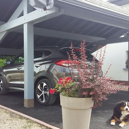 La Noue Aubain Bed & Breakfast Corbenay Exterior foto