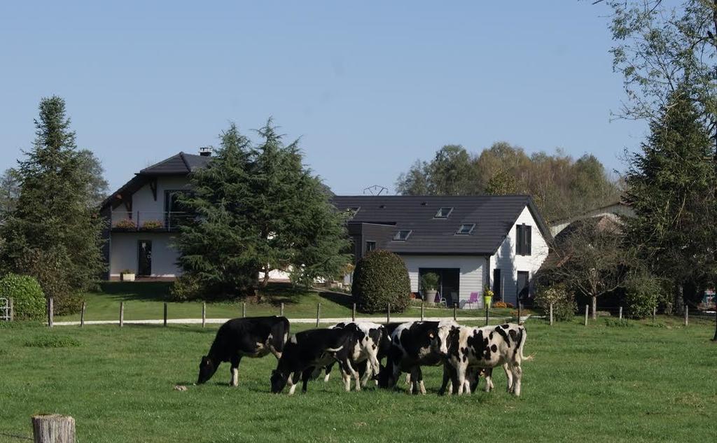 La Noue Aubain Bed & Breakfast Corbenay Exterior foto
